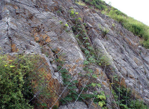 ����߅�·��o�W�m����ʲô����