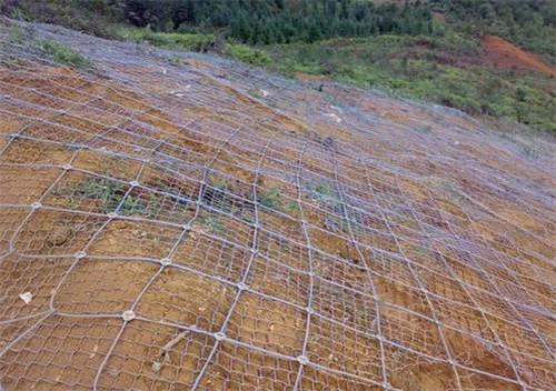 ����߅�·��o�W(w��ng)ʹ�Õr��ע����Щ����(ji��)��