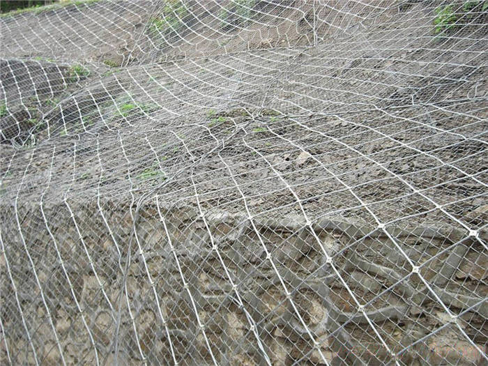 ���ӷ��o(h��)�W(w��ng)