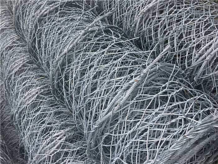 ����(d��ng)�ߏ�(qi��ng)�ӽ�W(w��ng)