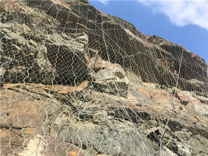 ����(d��ng)�ߏ�(qi��ng)�ӽ�W(w��ng)