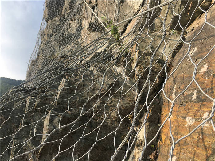 ����(d��ng)�ߏ�(qi��ng)�ӽ�W(w��ng)