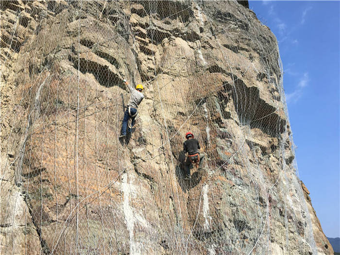 ����(d��ng)�ߏ�(qi��ng)�ӽ�W(w��ng)