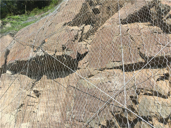 ����(d��ng)�ߏ�(qi��ng)�ӽ�W(w��ng)