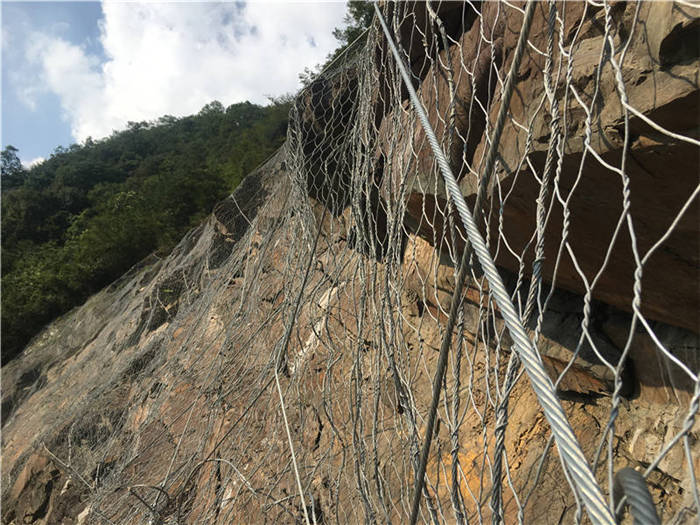 ����(d��ng)�ߏ�(qi��ng)�ӽ�W(w��ng)