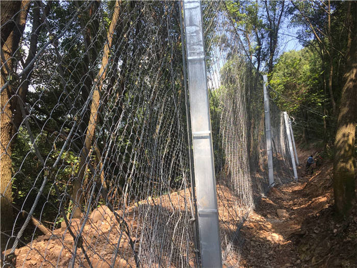 ����(d��ng)���o(h��)�W(w��ng)